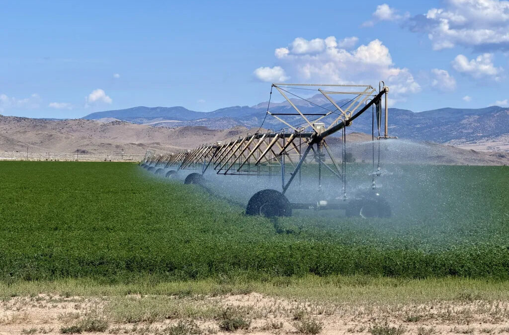 Crucial San Luis Valley aquifer drops to record low as water court ponders competing solutions